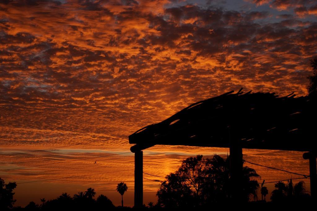 Sole Caliente Todos Santos